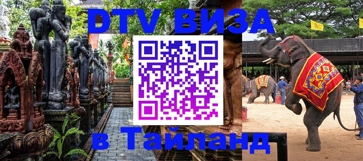 Сколько стоит DTV виза — актуальные цены, оформление даже без документов - 